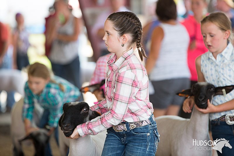 LCFAIR14-1675.jpg