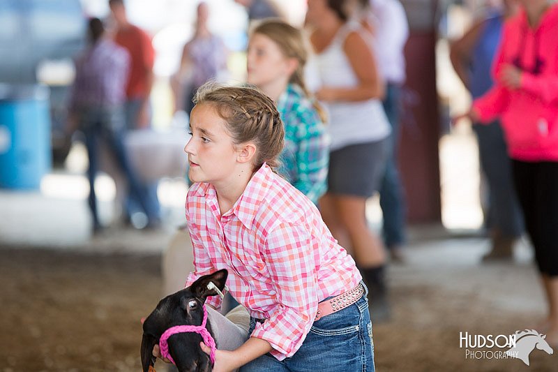 LCFAIR14-1677.jpg