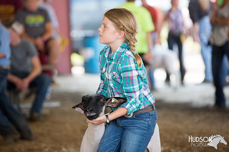 LCFAIR14-1678.jpg