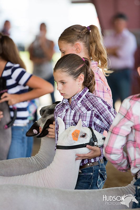 LCFAIR14-1681.jpg