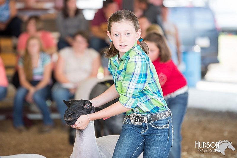 LCFAIR14-1687.jpg