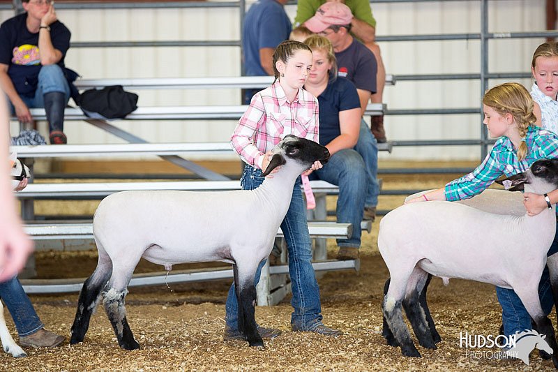LCFAIR14-1693.jpg
