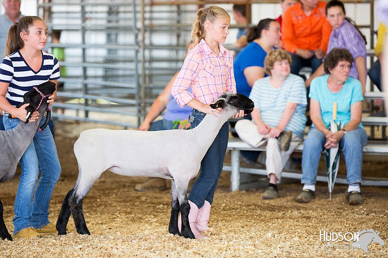 LCFAIR14-1694.jpg