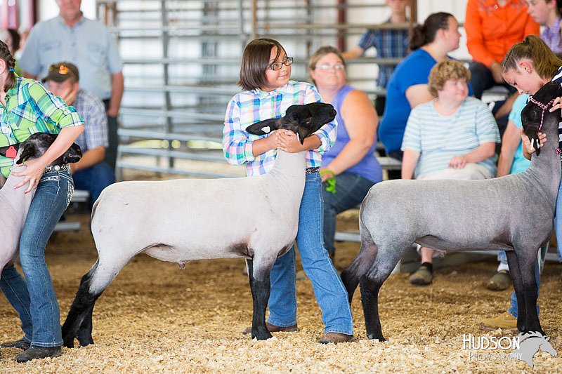 LCFAIR14-1697.jpg