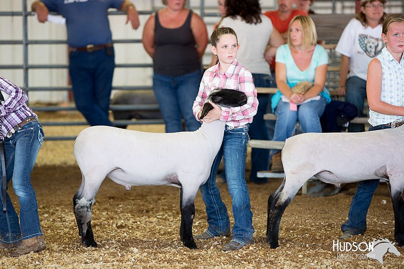 LCFAIR14-1698.jpg