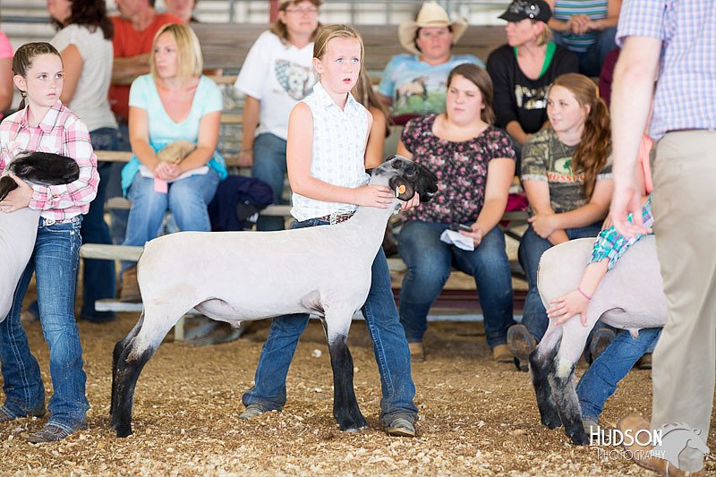 LCFAIR14-1699.jpg
