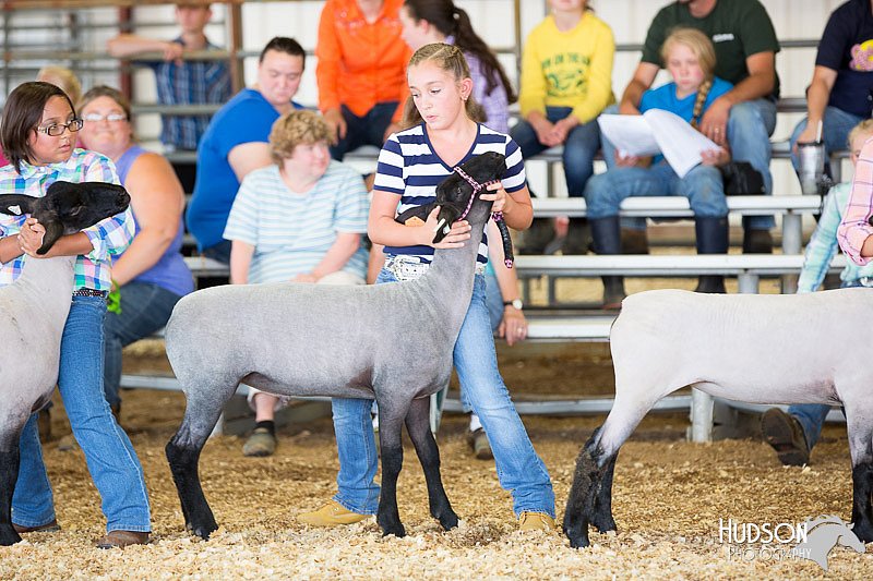 LCFAIR14-1700.jpg