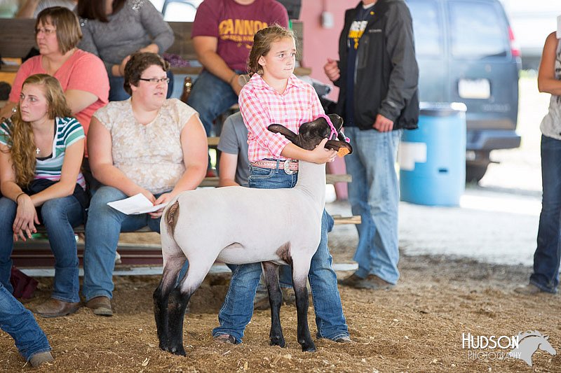 LCFAIR14-1701.jpg
