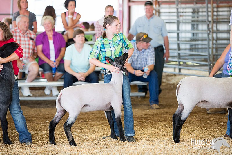 LCFAIR14-1703.jpg