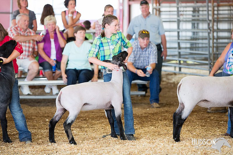 LCFAIR14-1704.jpg