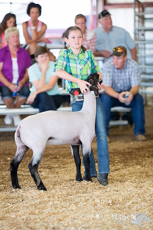 LCFAIR14-1706.jpg
