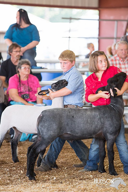 LCFAIR14-1707.jpg