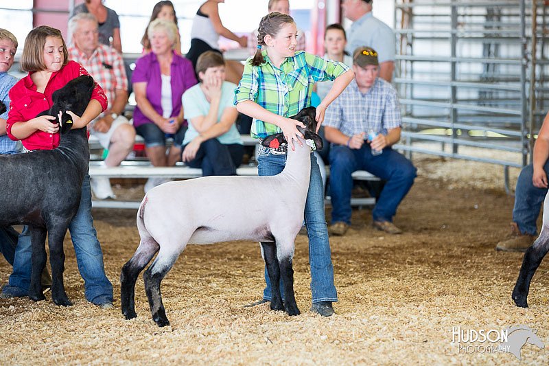 LCFAIR14-1708.jpg