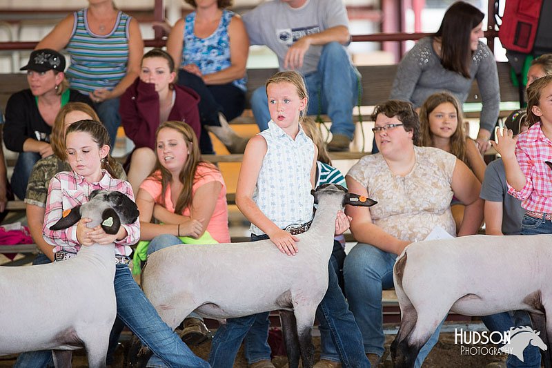 LCFAIR14-1711.jpg