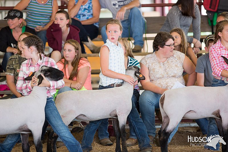 LCFAIR14-1712.jpg
