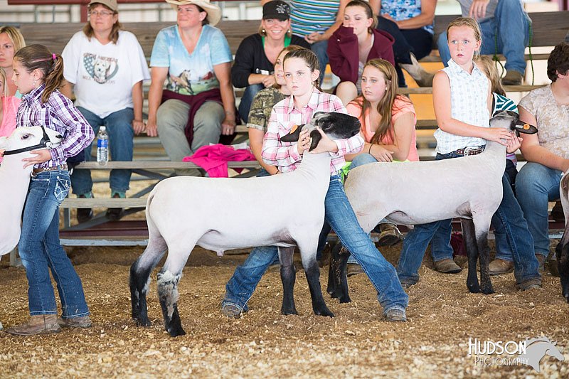LCFAIR14-1713.jpg