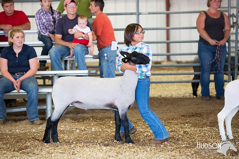 LCFAIR14-1714.jpg