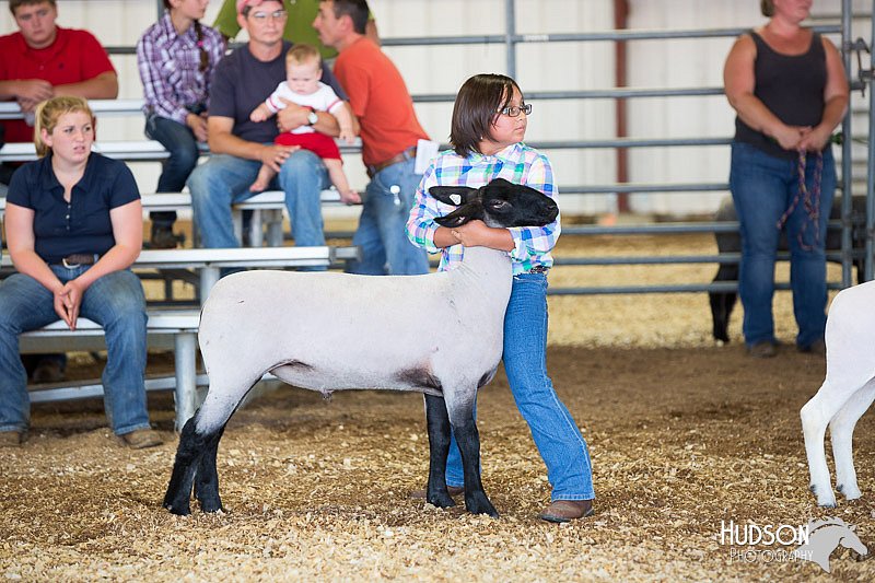 LCFAIR14-1715.jpg