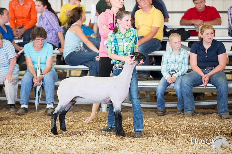 LCFAIR14-1717.jpg