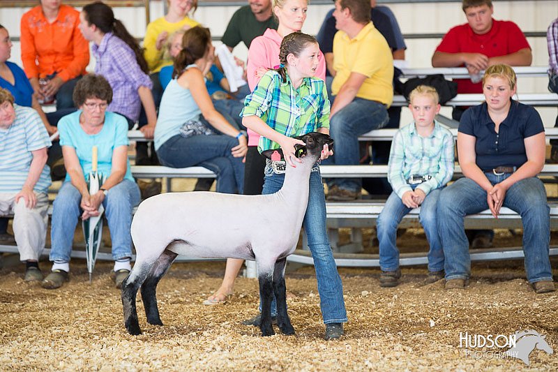 LCFAIR14-1718.jpg
