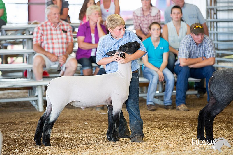 LCFAIR14-1720.jpg