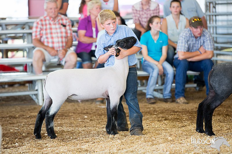 LCFAIR14-1722.jpg