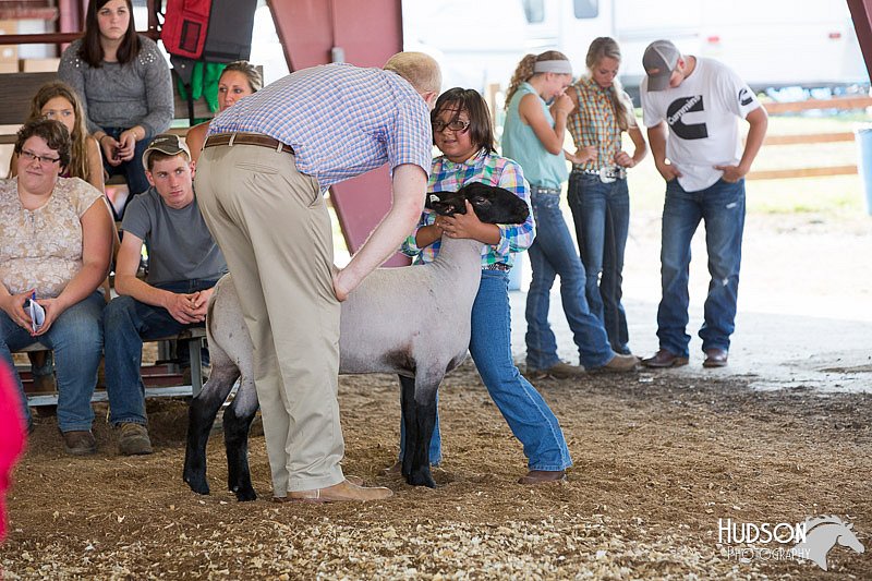 LCFAIR14-1727.jpg