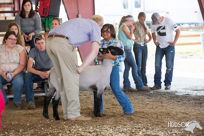 LCFAIR14-1728.jpg