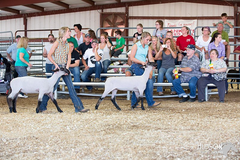 LCFAIR14-1731.jpg