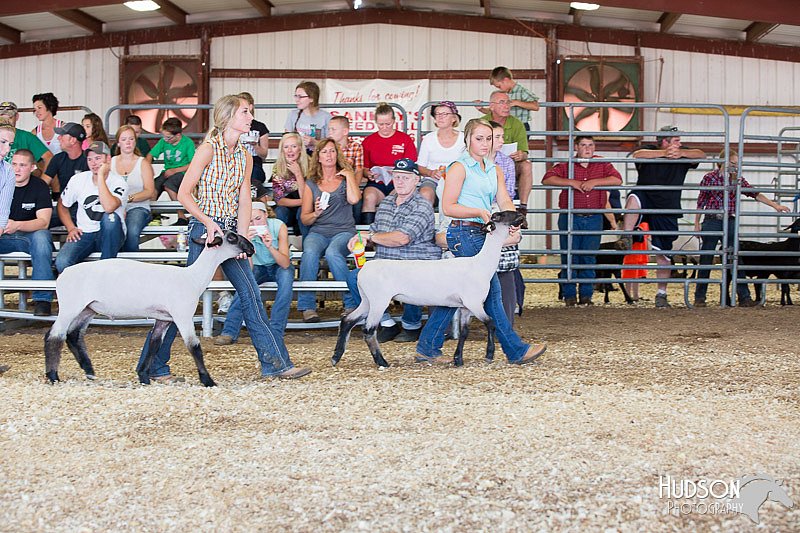 LCFAIR14-1732.jpg