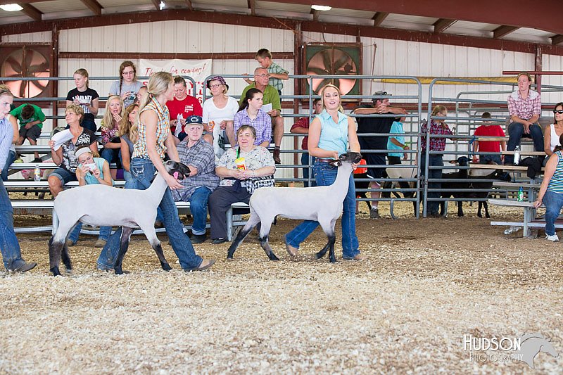 LCFAIR14-1733.jpg
