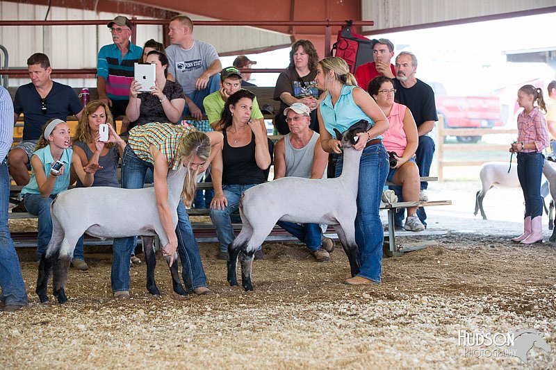 LCFAIR14-1735.jpg