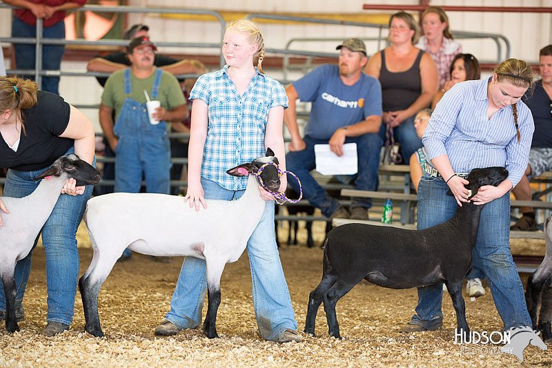 LCFAIR14-1738.jpg