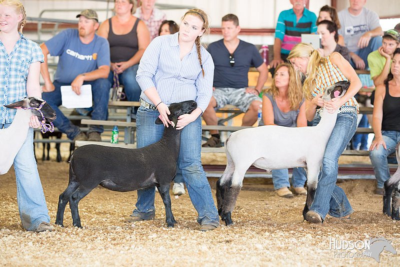 LCFAIR14-1739.jpg