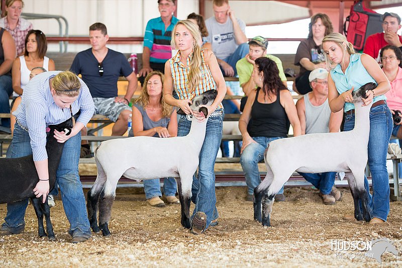 LCFAIR14-1741.jpg