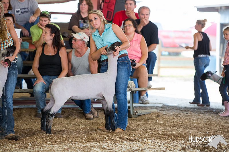LCFAIR14-1743.jpg