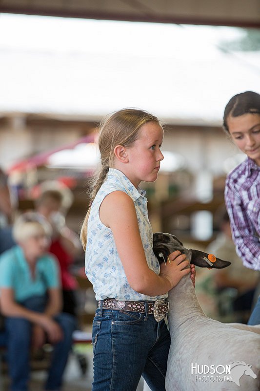 LCFAIR14-1745.jpg