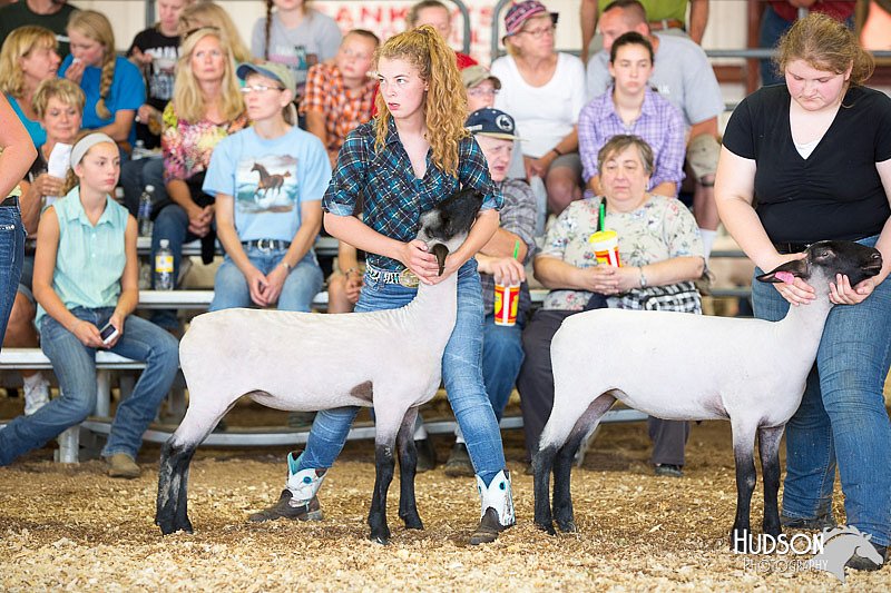 LCFAIR14-1748.jpg