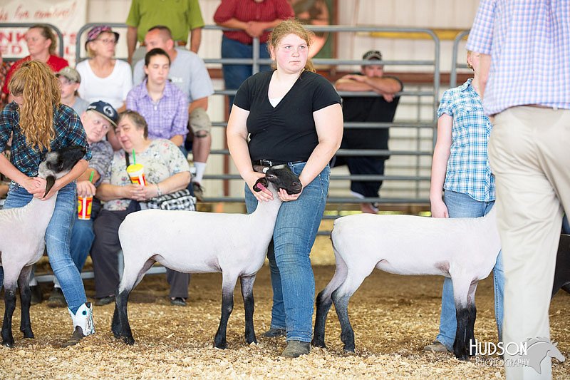 LCFAIR14-1749.jpg