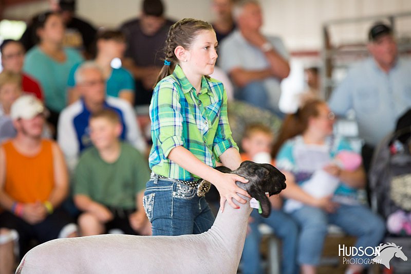 LCFAIR14-1753.jpg