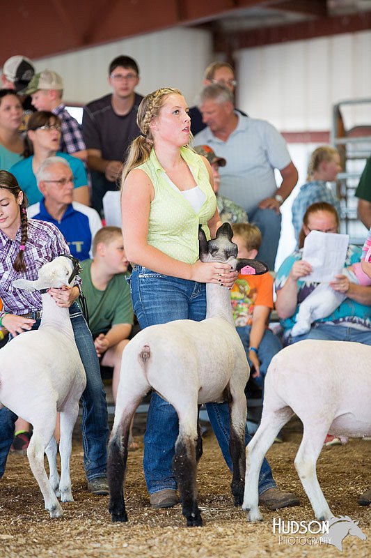 LCFAIR14-1758.jpg