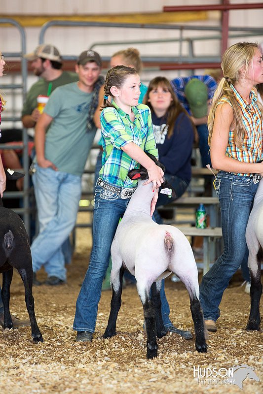 LCFAIR14-1760.jpg