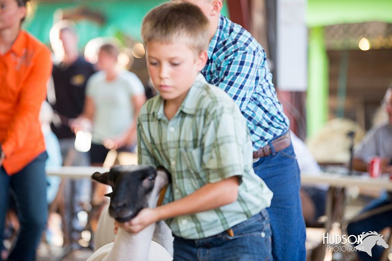 LCFAIR14-1765.jpg