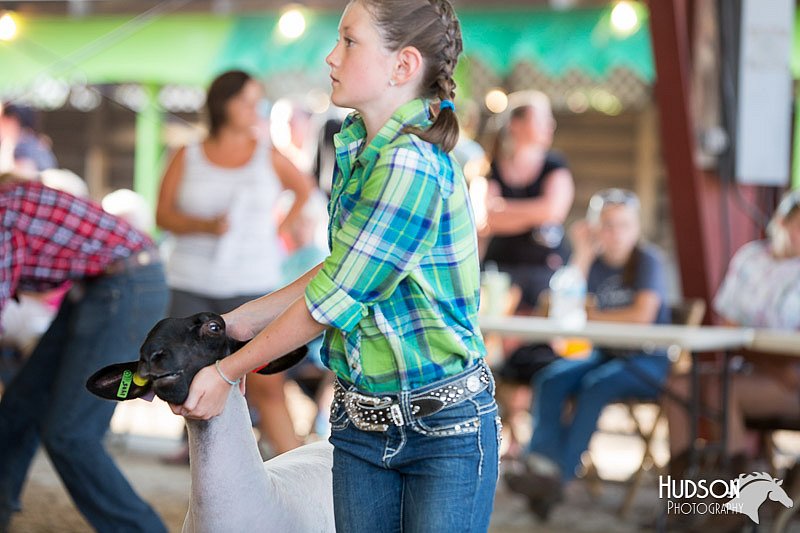 LCFAIR14-1766.jpg
