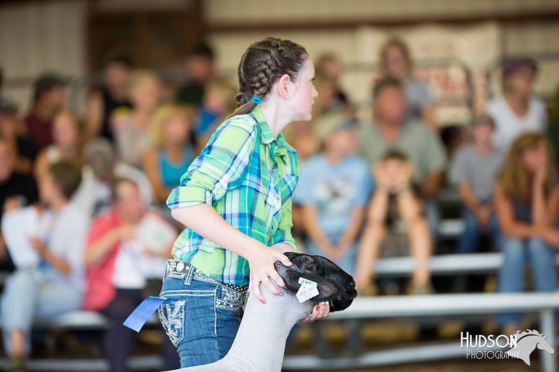 LCFAIR14-1781.jpg