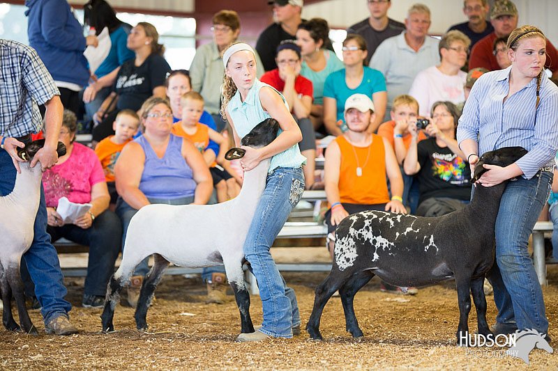 LCFAIR14-1804.jpg
