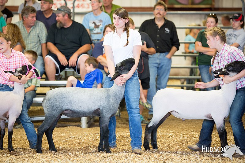 LCFAIR14-1826.jpg