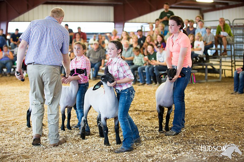 LCFAIR14-1861.jpg