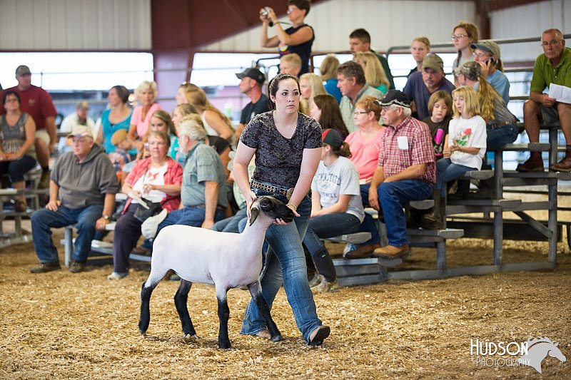 LCFAIR14-1863.jpg