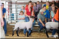 LCFAIR14-1534.jpg